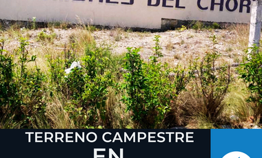 Terreno campestre en venta en Cumbres del Chorro, Arteaga Coahuila