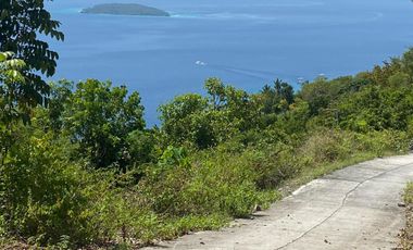 Rush Sale 15,984 sq.m. Tanawan-Oslob, Cebu titled lot overlooking Sumilon Island