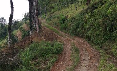 FINCA EN BALBOA
