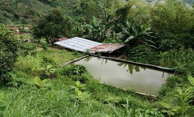 FINCA EN BALBOA