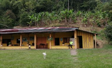 FINCA EN BALBOA