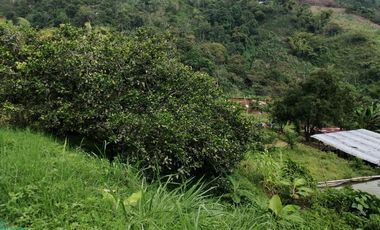 FINCA EN BALBOA