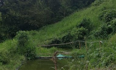 FINCA EN BALBOA