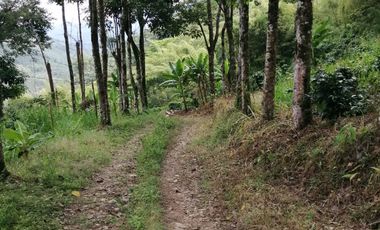 FINCA EN BALBOA