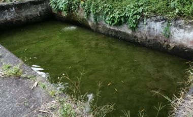 FINCA EN BALBOA