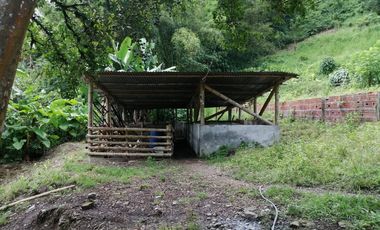 FINCA EN BALBOA
