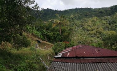 FINCA EN BALBOA