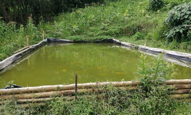 FINCA EN BALBOA
