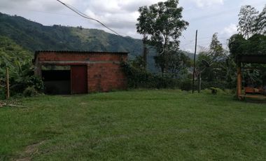 FINCA EN BALBOA