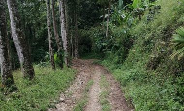 FINCA EN BALBOA