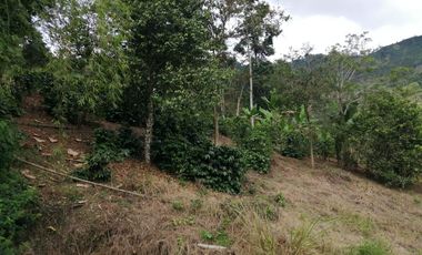 FINCA EN BALBOA