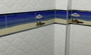 HERMOSA CASA EN LA ZONA MÁS SEGURA DE CARABAYLLO