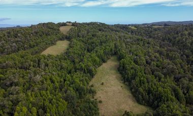Campo en venta en Quillagua, Los Muermos de 29,6 Hectáreas - Región de Los Lagos