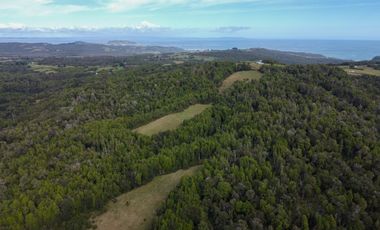 Campo en venta en Quillagua, Los Muermos de 29,6 Hectáreas - Región de Los Lagos