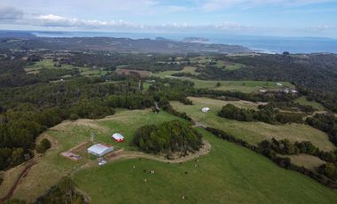 Campo en venta en Quillagua, Los Muermos de 29,6 Hectáreas - Región de Los Lagos