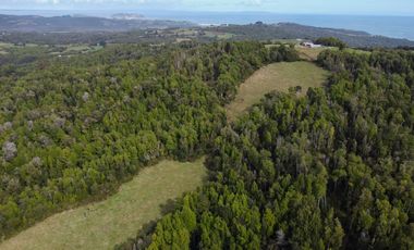 Campo en venta en Quillagua, Los Muermos de 29,6 Hectáreas - Región de Los Lagos