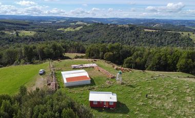 Campo en venta en Quillagua, Los Muermos de 29,6 Hectáreas - Región de Los Lagos