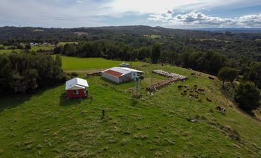 Campo en venta en Quillagua, Los Muermos de 29,6 Hectáreas - Región de Los Lagos