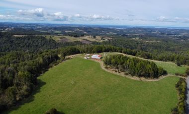Campo en venta en Quillagua, Los Muermos de 29,6 Hectáreas - Región de Los Lagos