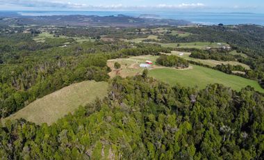 Campo en venta en Quillagua, Los Muermos de 29,6 Hectáreas - Región de Los Lagos