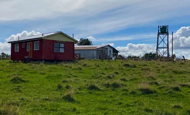 Campo en venta en Quillagua, Los Muermos de 29,6 Hectáreas - Región de Los Lagos