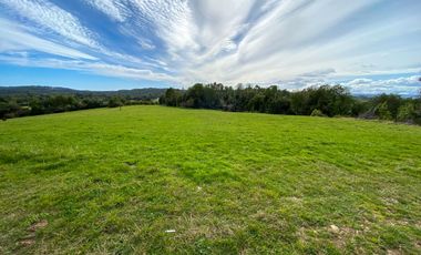 Campo en venta en Quillagua, Los Muermos de 29,6 Hectáreas - Región de Los Lagos