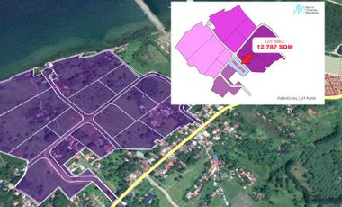 1.2 Hectares Industrial Lot For Sale In West Cebu Estate
