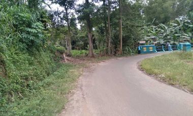 Tanah 2000 m Pinggir Jalan Aspal View Kali & Alam Di Sepang Ciracas