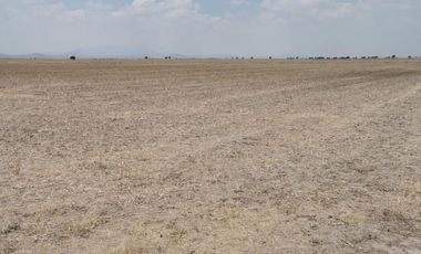 Remato Terreno de 3.9 Has, Carr. Cdmx - Pachuca.