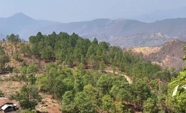 Huerta entre Villa Madero y Morelia en venta