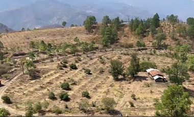 Huerta entre Villa Madero y Morelia en venta