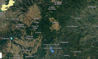 Huerta entre Villa Madero y Morelia en venta