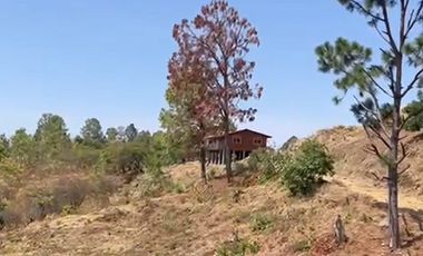 Huerta entre Villa Madero y Morelia en venta