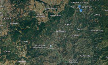 Huerta entre Villa Madero y Morelia en venta