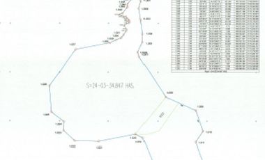 Huerta entre Villa Madero y Morelia en venta