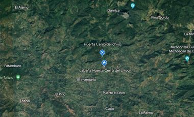 Huerta entre Villa Madero y Morelia en venta