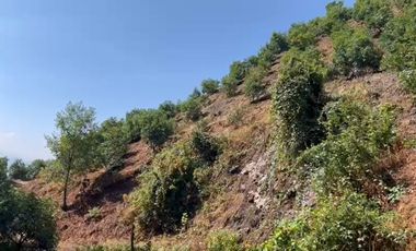 Huerta entre Villa Madero y Morelia en venta