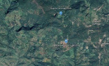 Huerta entre Villa Madero y Morelia en venta