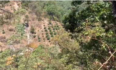 Huerta entre Villa Madero y Morelia en venta