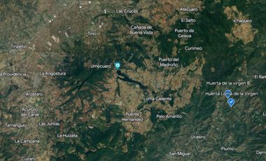 Huerta entre Villa Madero y Morelia en venta