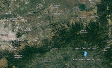 Huerta entre Villa Madero y Morelia en venta