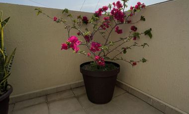 Departamento Amueblado en Renta en Boca del Rio, Veracruz