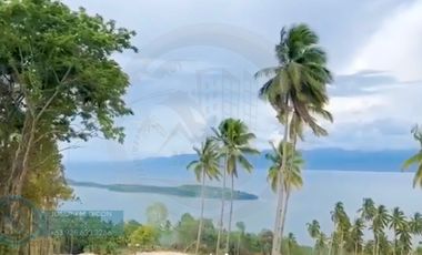 SL003 | Lot For Sale In Samal