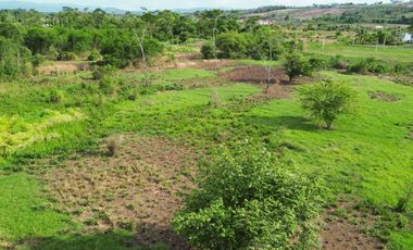 Oportunidad de Inversión Estratégica: Terreno de 8 Hectáreas para Proyecto Educativo Superior, Tarapoto.
