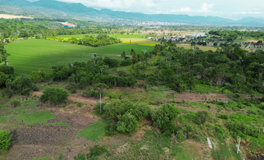 Oportunidad de Inversión Estratégica: Terreno de 8 Hectáreas para Proyecto Educativo Superior, Tarapoto.