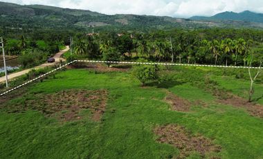 Oportunidad de Inversión Estratégica: Terreno de 8 Hectáreas para Proyecto Educativo Superior, Tarapoto.