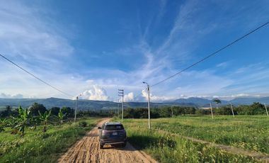 Oportunidad de Inversión Estratégica: Terreno de 8 Hectáreas para Proyecto Educativo Superior, Tarapoto.