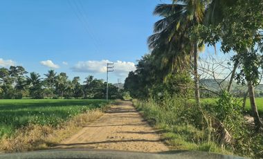 Oportunidad de Inversión Estratégica: Terreno de 8 Hectáreas para Proyecto Educativo Superior, Tarapoto.