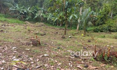 DIJUAL TANAH STRATEGIS BEAUTIFUL VIEW ANTOSARI PUPUAN TABANAN, BALI