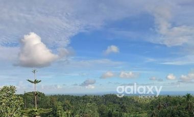 DIJUAL TANAH STRATEGIS BEAUTIFUL VIEW ANTOSARI PUPUAN TABANAN, BALI